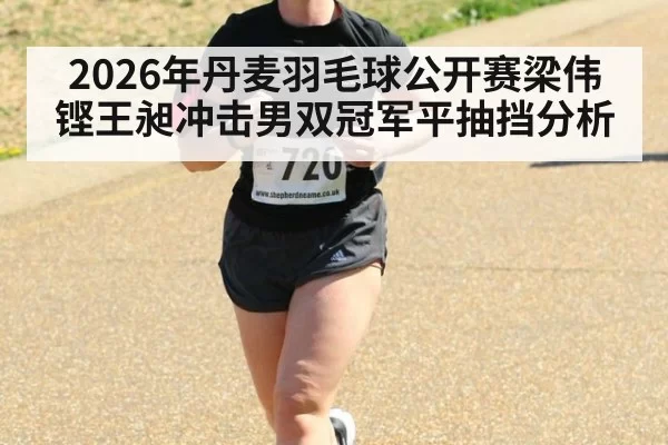 2026年丹麦羽毛球公开赛梁伟铿王昶冲击男双冠军平抽挡分析
